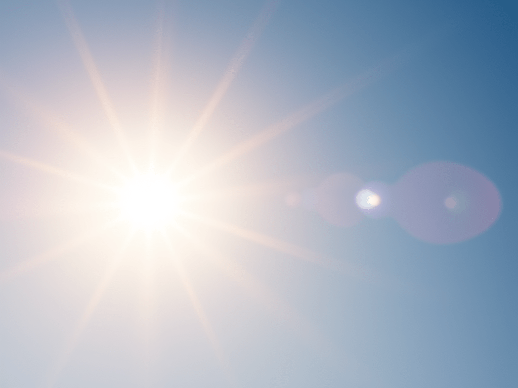 The Sun Brought Me&nbsp;Back